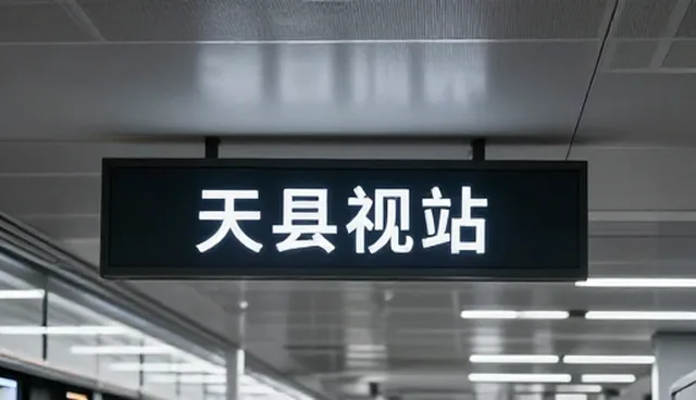 工商查询使用与维护建议:如何提升业务效率