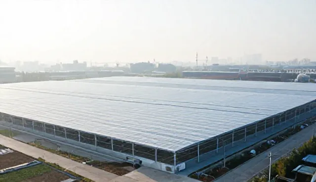 企业信息发布前，如何确保覆盖范围最大化