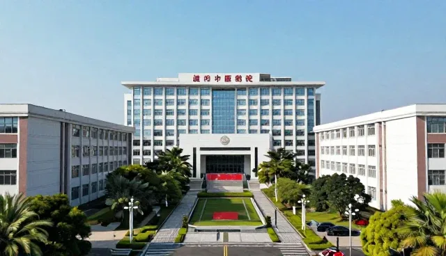 东莞网站设计,如何借助厂商名录提升企业信息核实效率